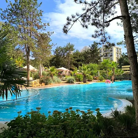 Private Grand 15 *